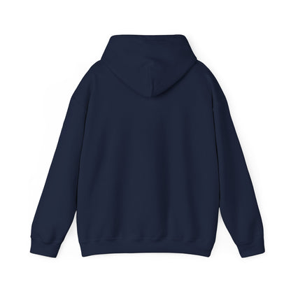 STEALTH Mountain Hoodie
