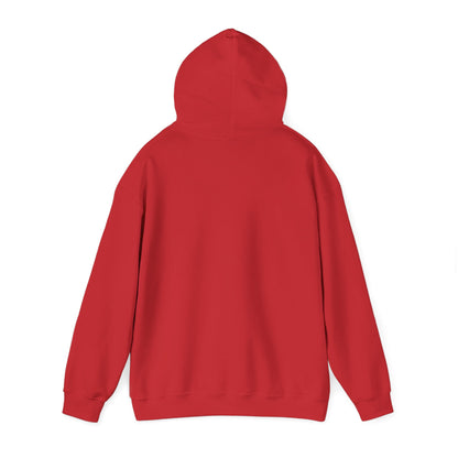 STEALTH Mountain Hoodie