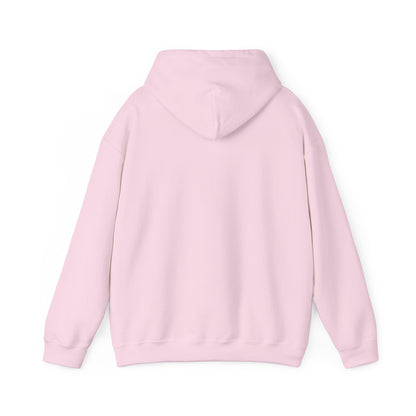 STEALTH Mountain Hoodie