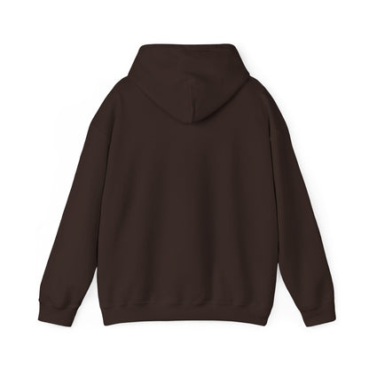 STEALTH Mountain Hoodie