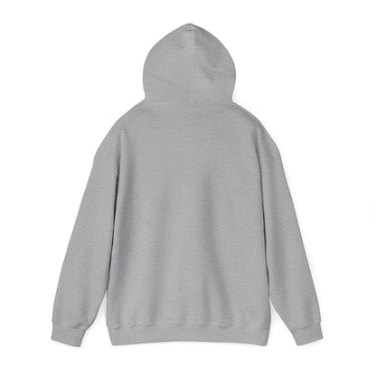 STEALTH Mountain Hoodie