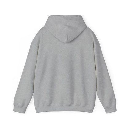 STEALTH Mountain Hoodie