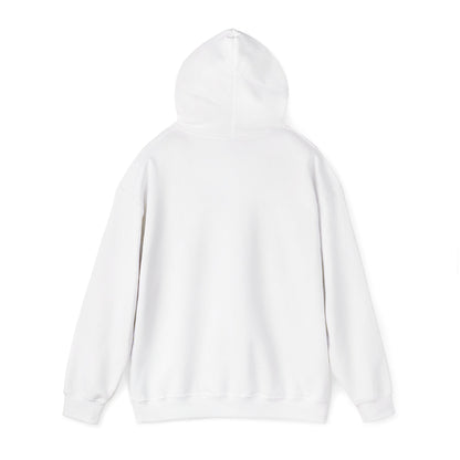 STEALTH Mountain Hoodie
