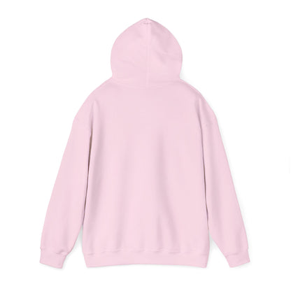 STEALTH Mountain Hoodie