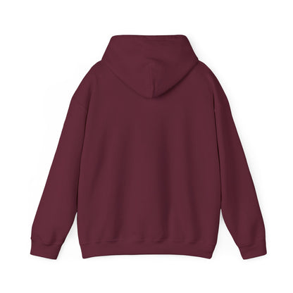 STEALTH Mountain Hoodie