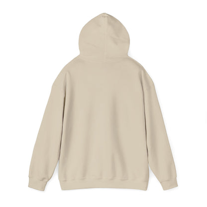 STEALTH Mountain Hoodie