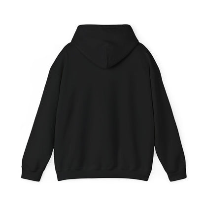 STEALTH Mountain Hoodie