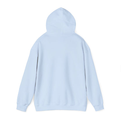 STEALTH Mountain Hoodie