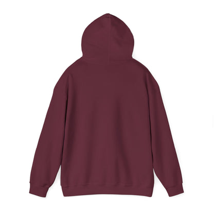 STEALTH Mountain Hoodie