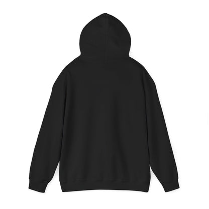 STEALTH Mountain Hoodie