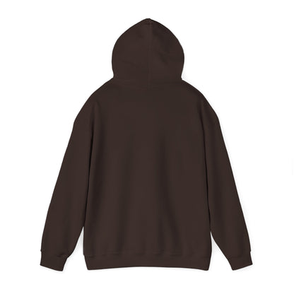 STEALTH Mountain Hoodie